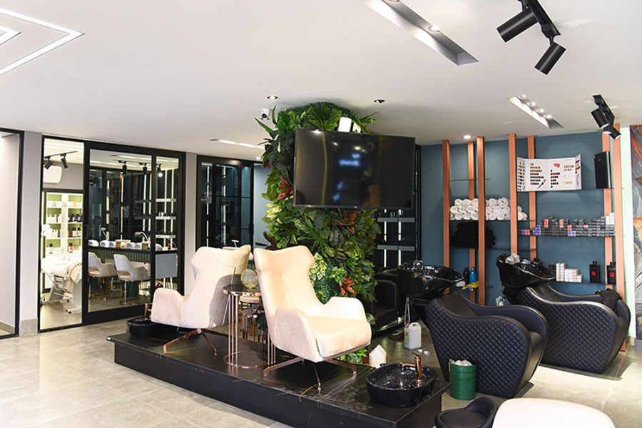 Tichy salon